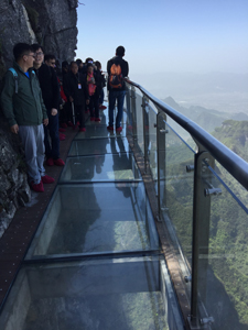 張家界・天門山の「ガラス桟道」、標高1430mの空中散歩はまさに“腰が抜ける”状態
